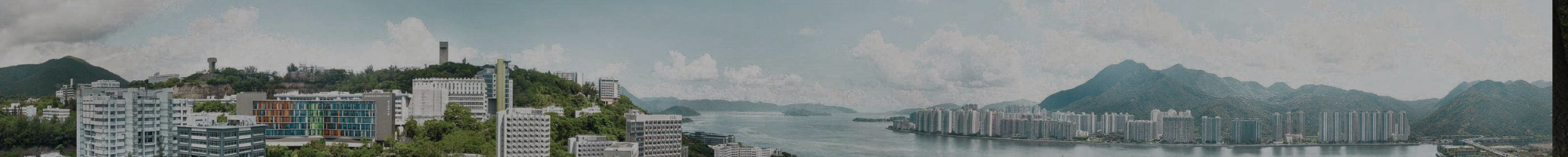 我可以怎样做？